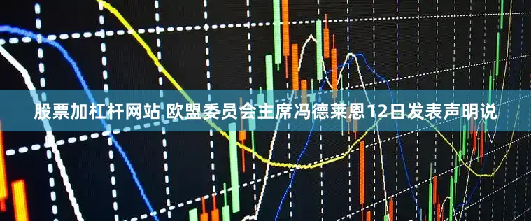 股票加杠杆网站 　　欧盟委员会主席冯德莱恩12日发表声明说