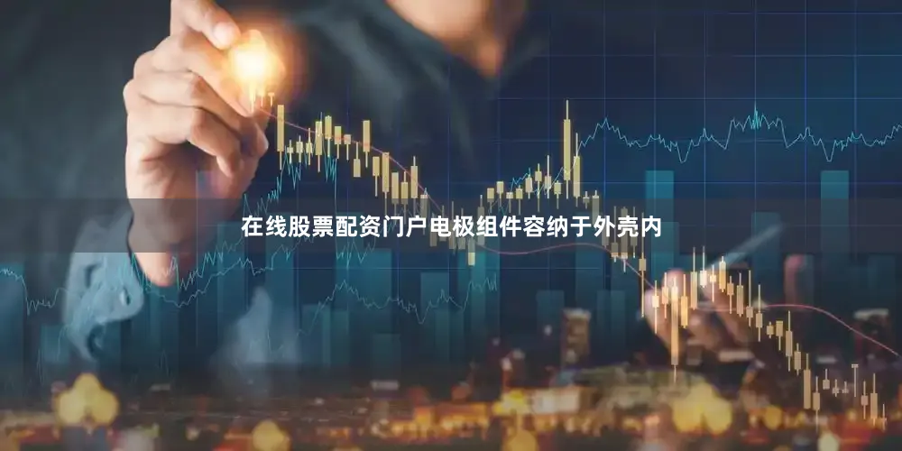在线股票配资门户电极组件容纳于外壳内