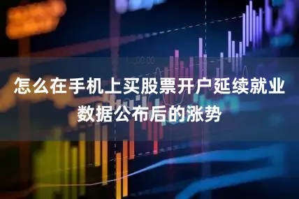 怎么在手机上买股票开户延续就业数据公布后的涨势